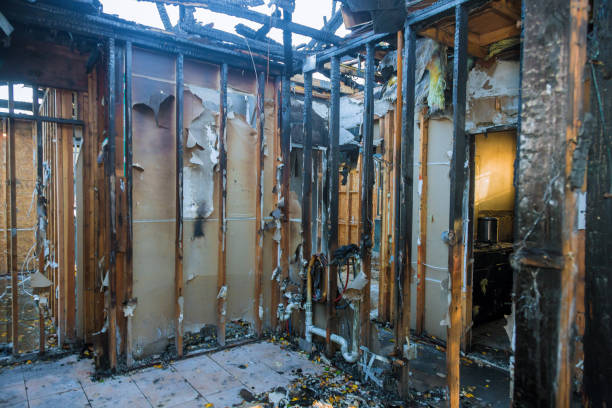 Professional Emergency Fire Cleanup technician working in Dakota Ridge, CO